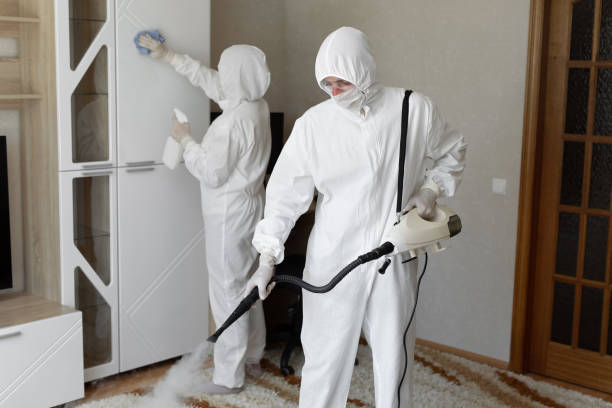 Best Residential Mold Remediation in Hillview, KY